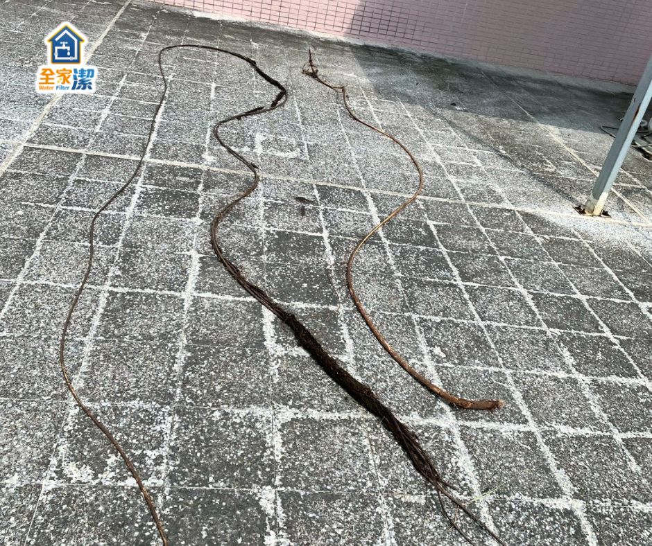 全家潔【震驚案例】水管竟然藏著15公尺樹根?!全家潔水刀疏通專業出手!案例施工或設備安裝現場照片